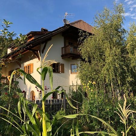 Birbamergut Longostagno Bagian luar foto