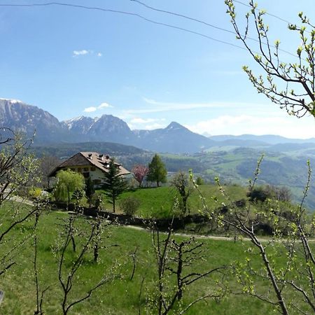 Birbamergut Longostagno Bagian luar foto
