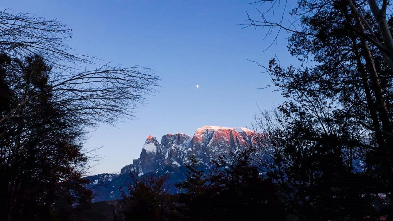 Birbamergut Longostagno Bagian luar foto