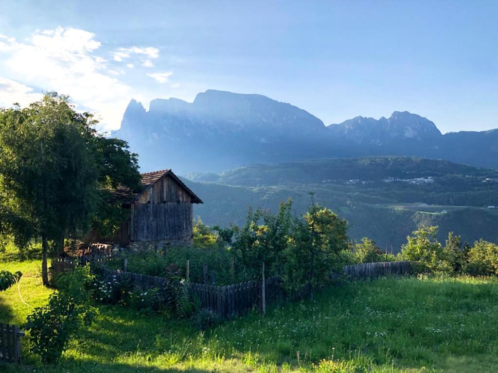 Birbamergut Longostagno Bagian luar foto