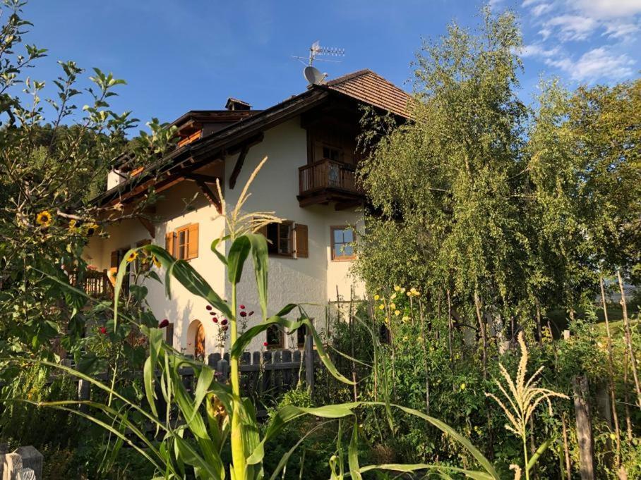 Birbamergut Longostagno Bagian luar foto