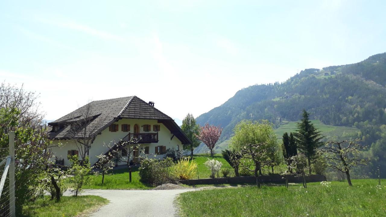 Birbamergut Longostagno Bagian luar foto