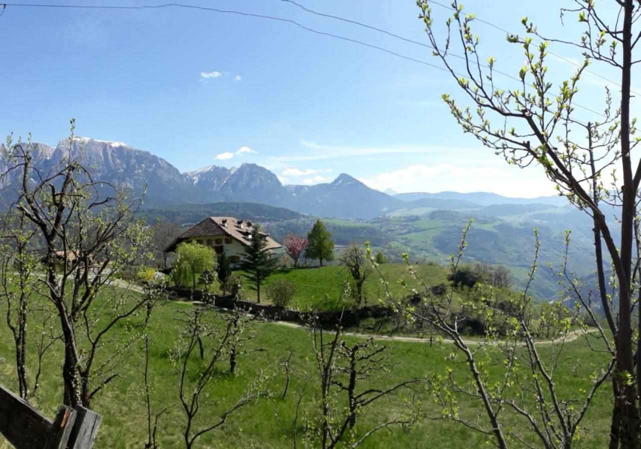 Birbamergut Longostagno Bagian luar foto