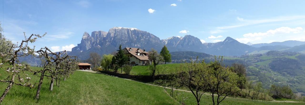 Birbamergut Longostagno Bagian luar foto
